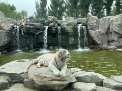 -北京野生动物园