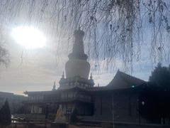 -张掖大佛寺景区