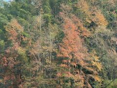 -东钱湖旅游度假区