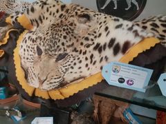 -纽瓦克自由国际机场