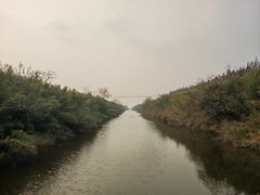 -黄海国家森林公园