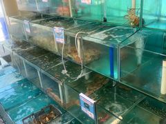 水产区-琼大师东方烤乳猪(亚特兰蒂斯店)