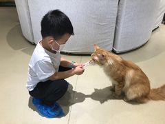 -藏猫猫咖啡主题馆(中央大道店)