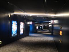 -奥斯卡升龙国际影城(RealD Cinema)