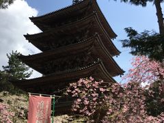 -醍醐寺