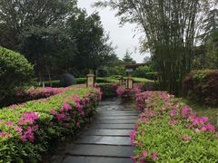 -庐山天沐温泉度假村