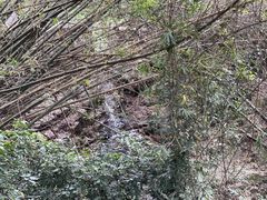 -大雁山风景区