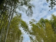 -潜山国家森林公园