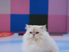-昆山招商花园城
