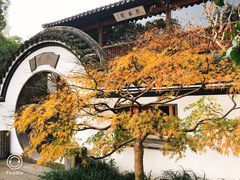 -郭庄茶室