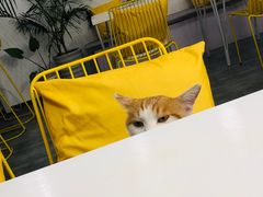 -五进制 Coffee Shop
