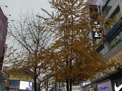 -黄兴南路步行商业街