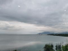 -野菌皇海景野生菌火锅(滨海大道店)