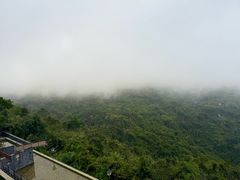 -三亚亚龙湾人间天堂鸟巢度假村