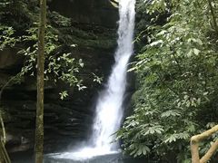 -碧峰峡风景区