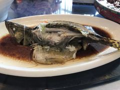 -大蓉和(双楠店)