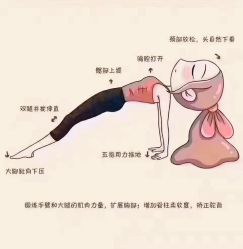 -卓拓普拉提
