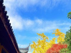 -北寺塔