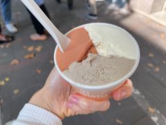 -Dip in Gelato(富民路店)