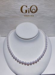 -GiO挚澳珠宝(侨福芳草地店)