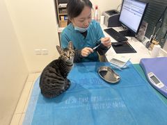 -美迦爱-牙专科·兔科·骨科诊疗中心(北苑店)