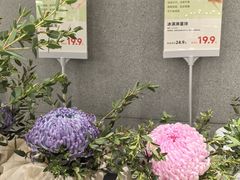 -鹿岛生活(熙地港店)