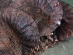 -好利来(红旗万达店)