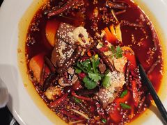 -鸽子侯·家宴·平价海鲜(绿地店)