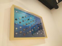 -深蓝金枪·深海鱼刺身(吉大店)