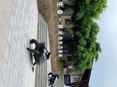 -广东惠东海龟国家级自然保护区