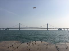 -星海湾跨海大桥