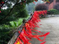 -广州市帽峰山景区