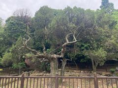 -草庵摩尼教遗址公园