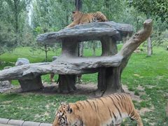 -北京野生动物园