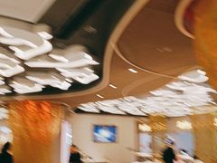 -阿五黄河大鲤鱼(海尚店)