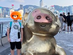 -星光大道