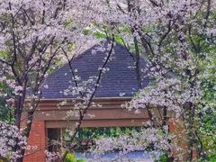 -杭州绿城育华亲亲学校