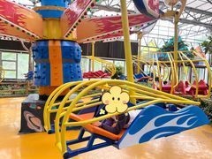 -南宫五洲植物乐园