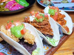 -Famous肥猫墨西哥音乐餐吧(五棵松华熙LIVE店)