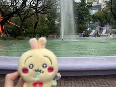 -九龙公园