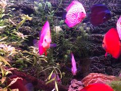 -上海海洋水族馆