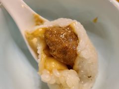 茨毛圆子-双塔老饭店