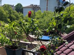 -又见炊烟私房菜(敬亭路店)