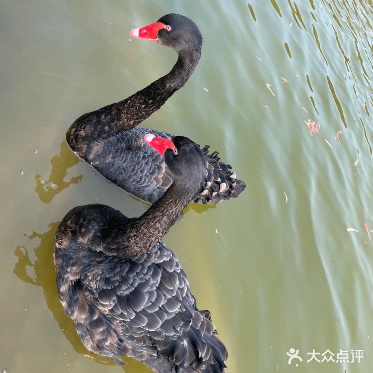 一不小心说了大实话🔈🔈🚣🏻‍♀️...
