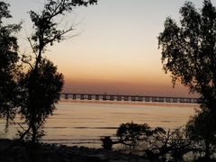 -宝安西湾红树林湿地公园