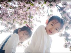 -艾米丽儿童摄影