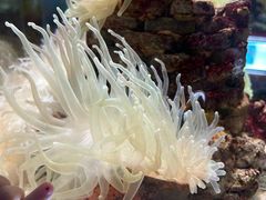 -太平洋海底世界