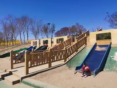 -大兴滨河森林公园