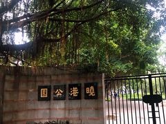 -晓港公园