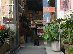-唐咖精品咖啡(大理古城手冲店)